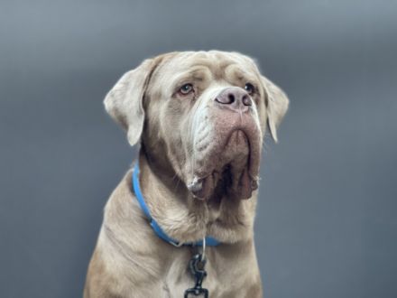 Hallo mein Name ist Jack. Ich bin am 16.10.2020 geboren