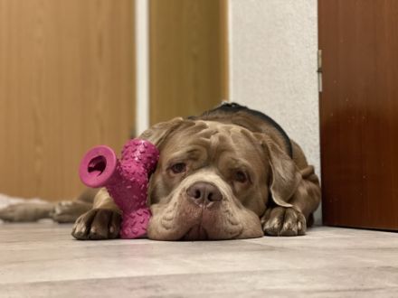 Hallo mein Name ist Jack. Ich bin am 16.10.2020 geboren