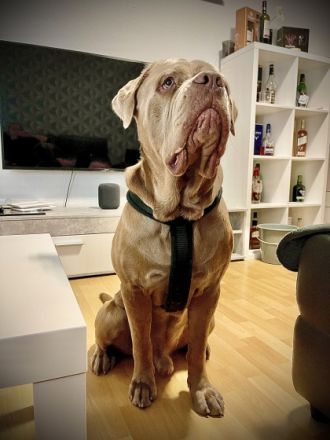 Hallo mein Name ist Jack. Ich bin am 16.10.2020 geboren