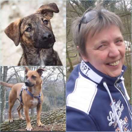 Mobile Hundeschule Face2Face