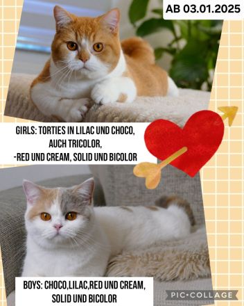 Vom Königsgruber Park