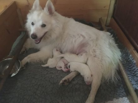 Wir haben mit unserer Hof Sommerberg Cleo doch noch