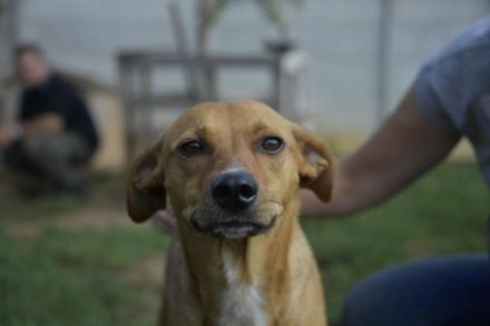 BERLIN- möchte immer und überall dabei sein