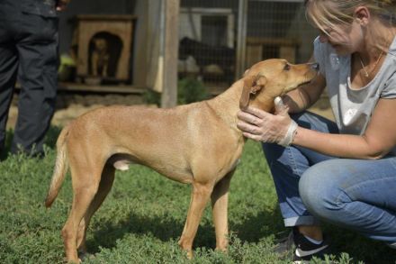 BERLIN- möchte immer und überall dabei sein