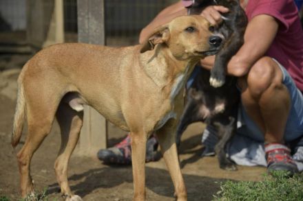 BERLIN- möchte immer und überall dabei sein