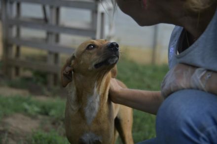 BERLIN- möchte immer und überall dabei sein