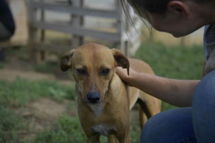 BERLIN- möchte immer und überall dabei sein