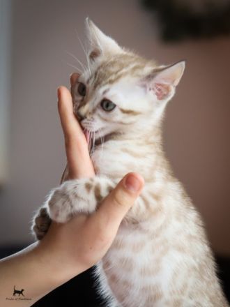 Dieser kleinen Snow-Prinzessin wünschen wir ein