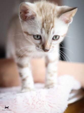 Dieser kleinen Snow-Prinzessin wünschen wir ein