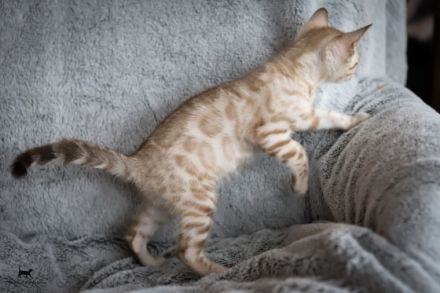 Dieser kleinen Snow-Prinzessin wünschen wir ein