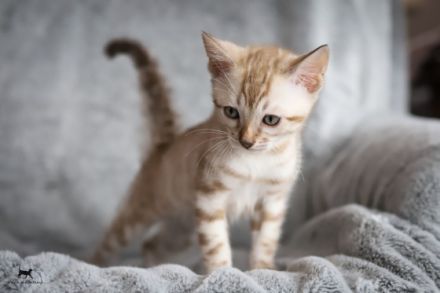 Dieser kleinen Snow-Prinzessin wünschen wir ein