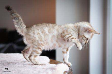 Dieser kleinen Snow-Prinzessin wünschen wir ein