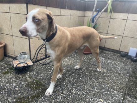 Major, Hallo, ich kämpfe jetzt sehr lange schon mit mir