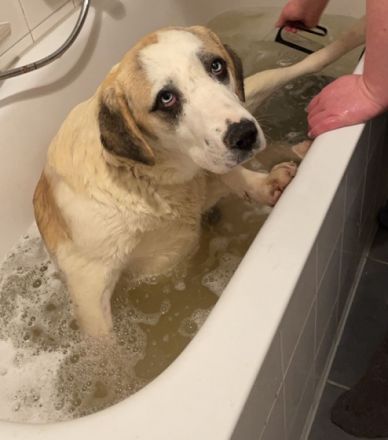 Seit einer Woche ist der am 02/21 geborene Terence