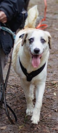 Seit einer Woche ist der am 02/21 geborene Terence