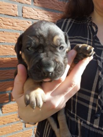 Hallo, wir sind am 6.2.2022 geboren und suchen ein