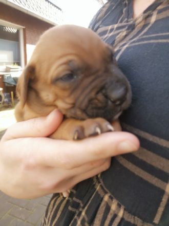 Hallo, wir sind am 6.2.2022 geboren und suchen ein