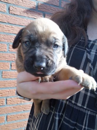 Hallo, wir sind am 6.2.2022 geboren und suchen ein