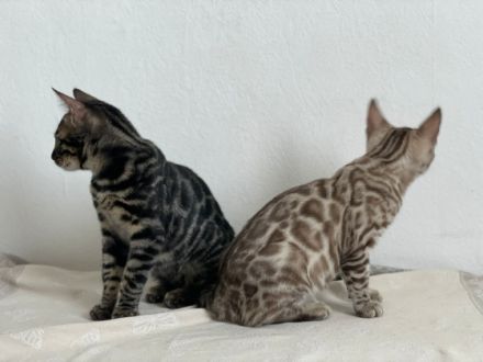 Hallo, es freut uns, dass wir Ihr Interesse geweckt