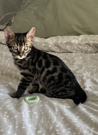 Hallo, es freut uns, dass wir Ihr Interesse geweckt