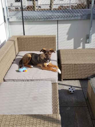 ❤️Ich bin die Emma (geboren ca.10/2021) und suche ein