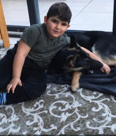 Es ist ein ganz lieber Familien hund, war auch in der