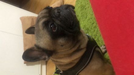 Cooper, Guten Tag ich verkaufe aus privaten Gründen