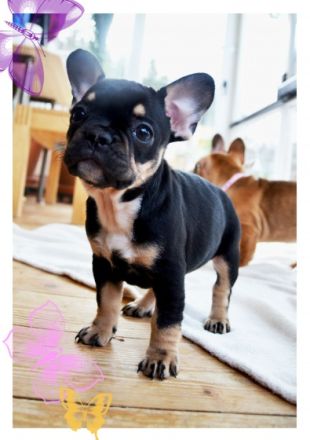 Es ist soweit, unsere sportliche, freiatmende