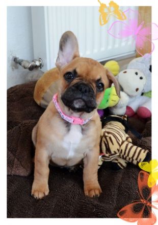 Es ist soweit, unsere sportliche, freiatmende