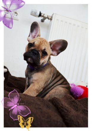 Es ist soweit, unsere sportliche, freiatmende