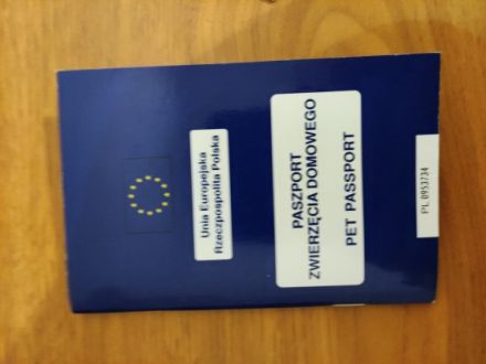 Sehr geehrte Damen und Herren mein Hund Molly kommt aus