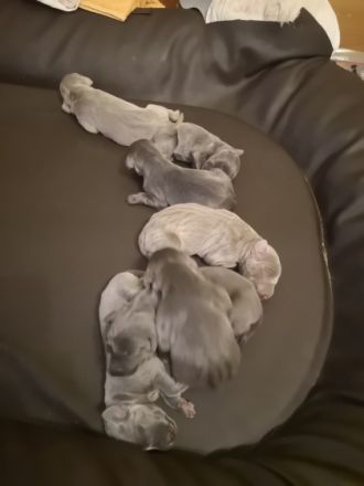 Hallo, Wir sind 5xMadels und 2xBuben.Wir sind auf der