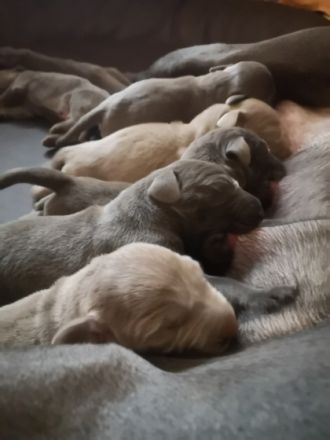 Hallo, Wir sind 5xMadels und 2xBuben.Wir sind auf der