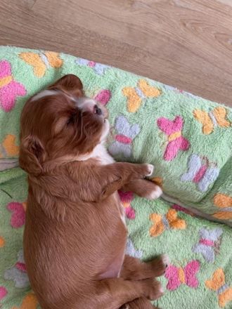 Die Babys sind am 20.02.2022 geboren und dürfen mit 12