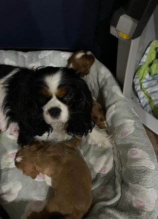 Die Babys sind am 20.02.2022 geboren und dürfen mit 12