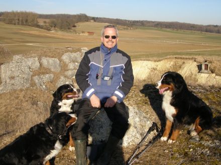 Bernersennen Hund Welpen WURFANKÜNDIGUNG 2026