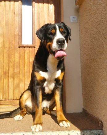 Carl vom Alten Kirchsteig