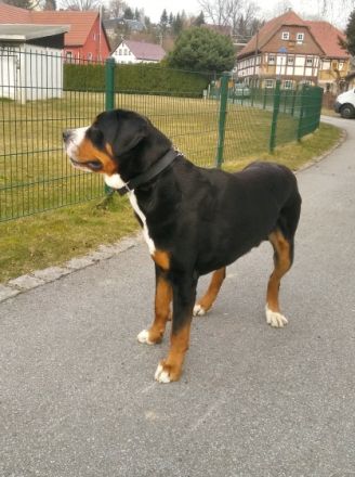 Carl vom Alten Kirchsteig