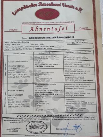 Carl vom Alten Kirchsteig