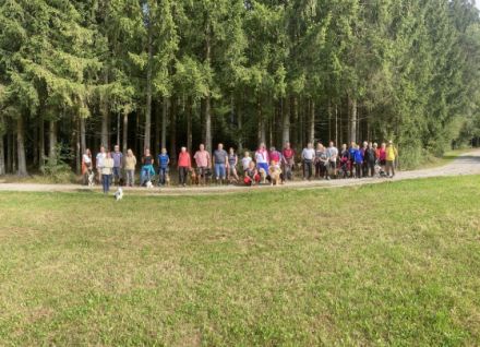 Kostenlose Hundewanderungen im Bayerwald