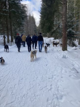 Kostenlose Hundewanderungen im Bayerwald