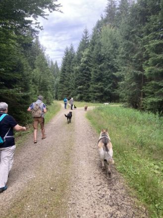 Kostenlose Hundewanderungen im Bayerwald