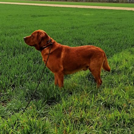 Once in a Lifetime Winter is coming Walker