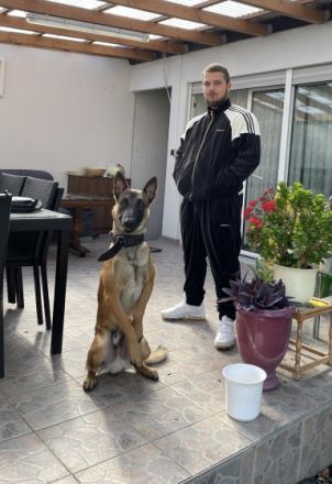 Ich biete hiermit meinen Rüden Namens Zimba als