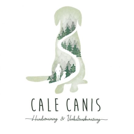 Cale Canis