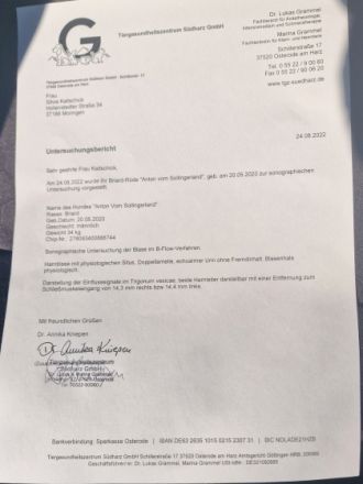 Anton vom Sollingerland