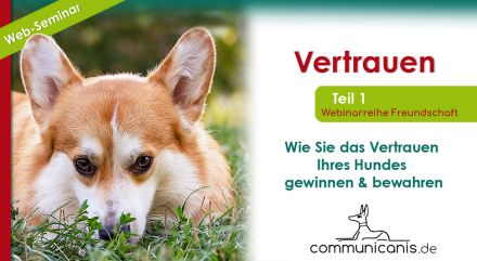 Eine Freundschaft fürs Leben - Sie & Ihr Hund (Onlinewebinarreihe 06.11.24)