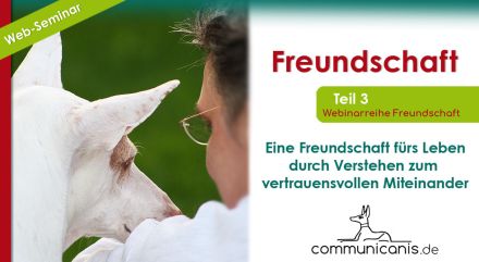 Eine Freundschaft fürs Leben - Sie & Ihr Hund (Onlinewebinarreihe 06.11.24)