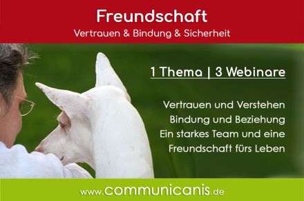 Eine Freundschaft fürs Leben - Sie & Ihr Hund (Onlinewebinarreihe 06.11.24)