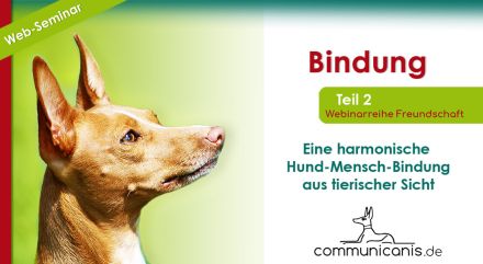Eine Freundschaft fürs Leben - Sie & Ihr Hund (Onlinewebinarreihe 06.11.24)